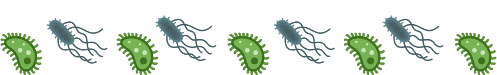 Pet parasites that need prevention in Memphis, TN