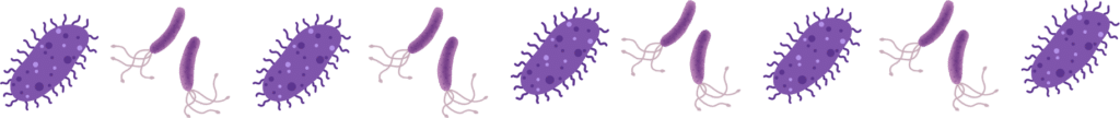 Pet parasites that need annual protection with Cloverleaf Animal Clinic in Memphis, TN