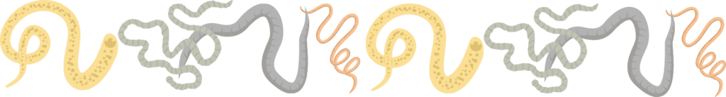Heartworms and intestinal parasites in pets
