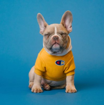 karsten-winegeart-5PVXkqt2s9k-unsplash (1)